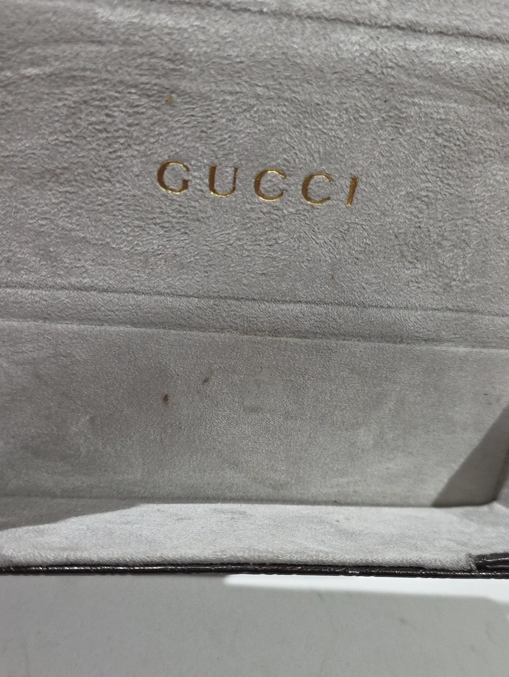 Gucci eyewear case